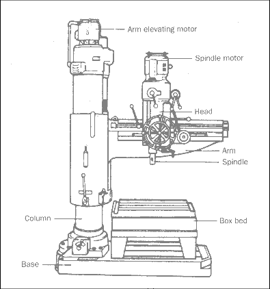 Featured image of post Simple Pillar Drill Drawing Use the information you have learned to move the labels and photos to the correct place